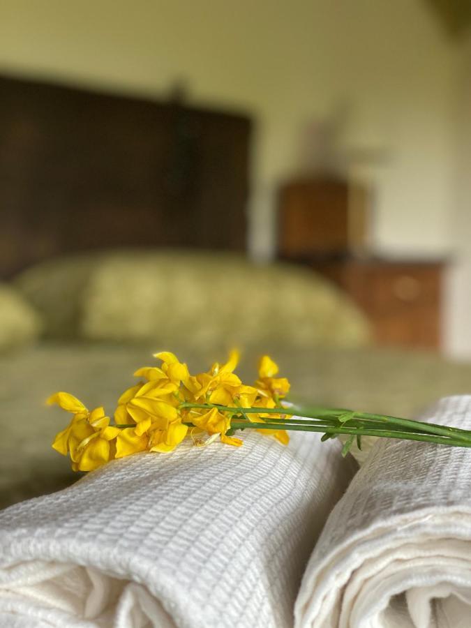 Cascina Boschetto Bed & Breakfast Saliceto Bagian luar foto
