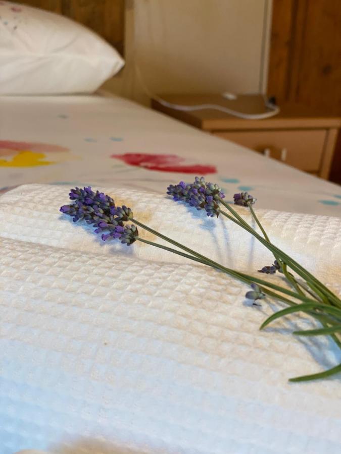 Cascina Boschetto Bed & Breakfast Saliceto Bagian luar foto