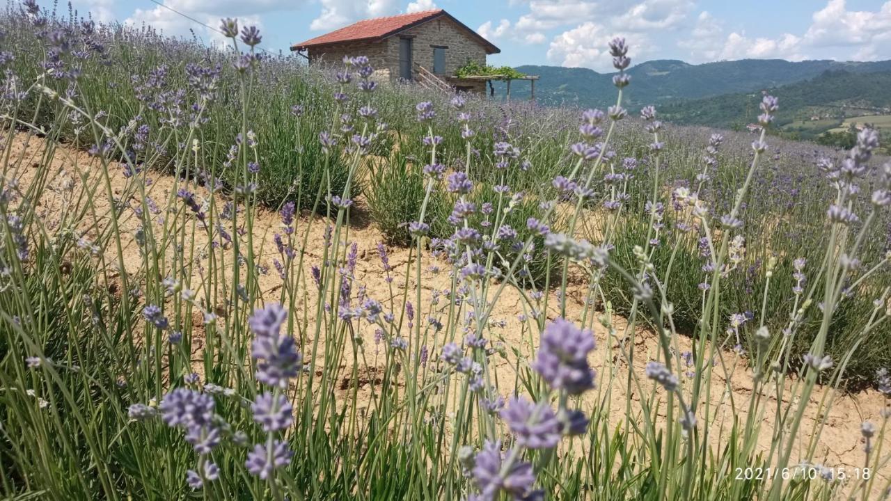 Cascina Boschetto Bed & Breakfast Saliceto Bagian luar foto