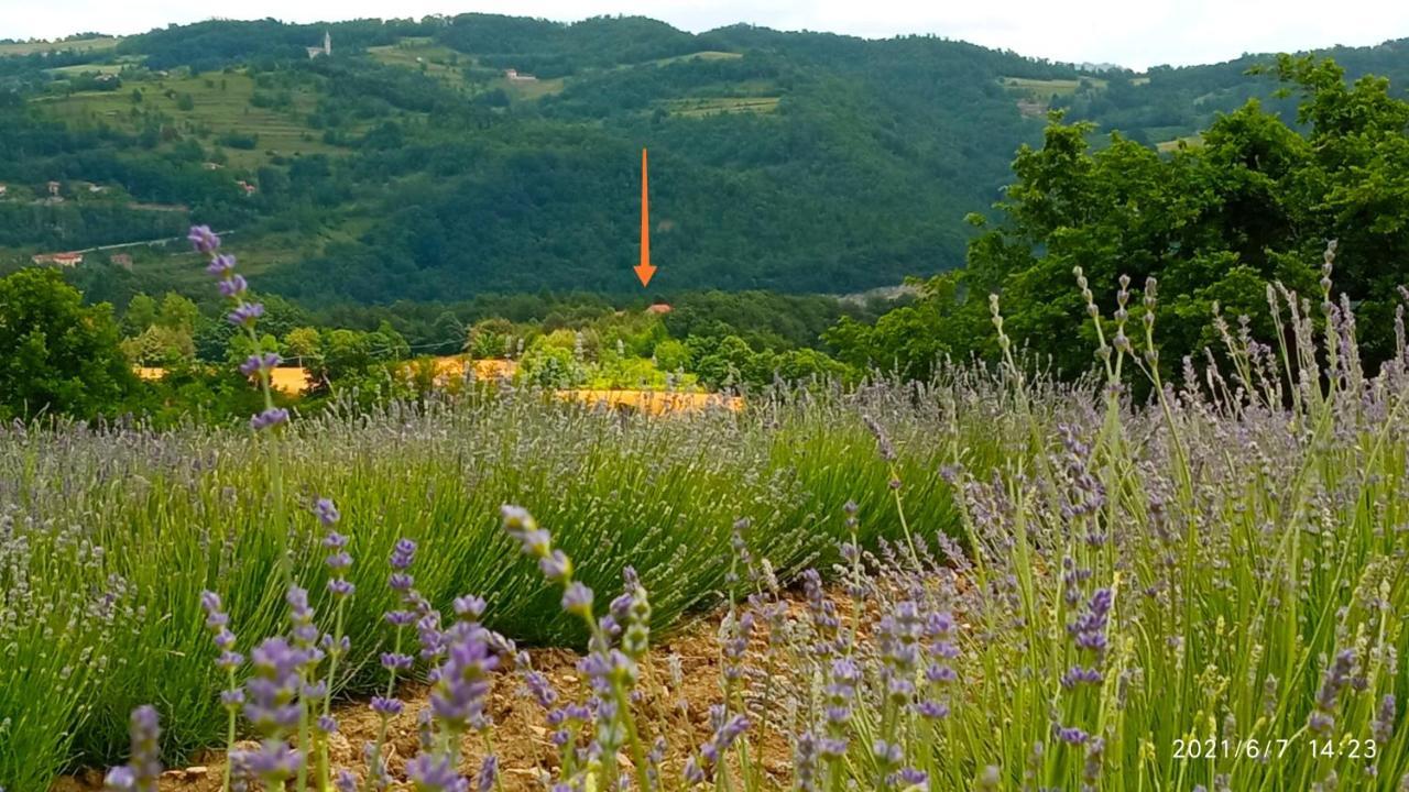 Cascina Boschetto Bed & Breakfast Saliceto Bagian luar foto