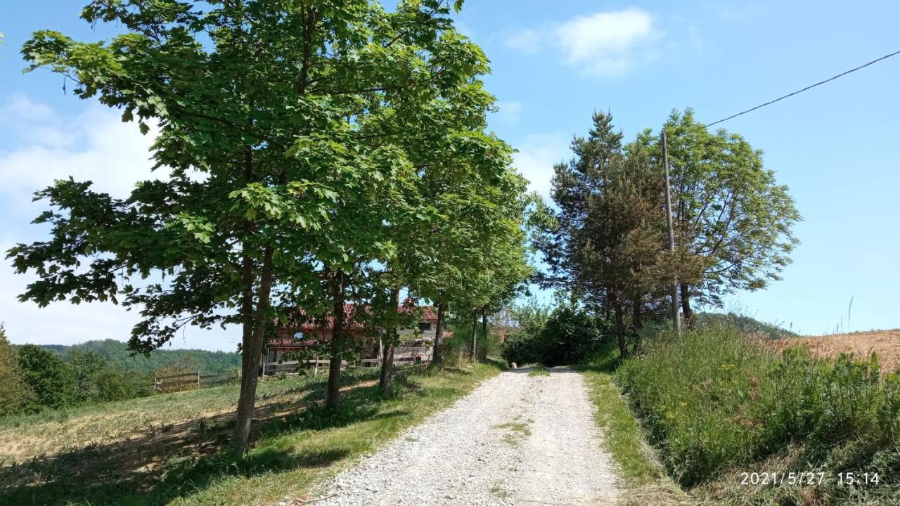 Cascina Boschetto Bed & Breakfast Saliceto Bagian luar foto