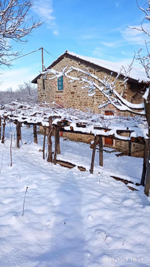 Cascina Boschetto Bed & Breakfast Saliceto Bagian luar foto