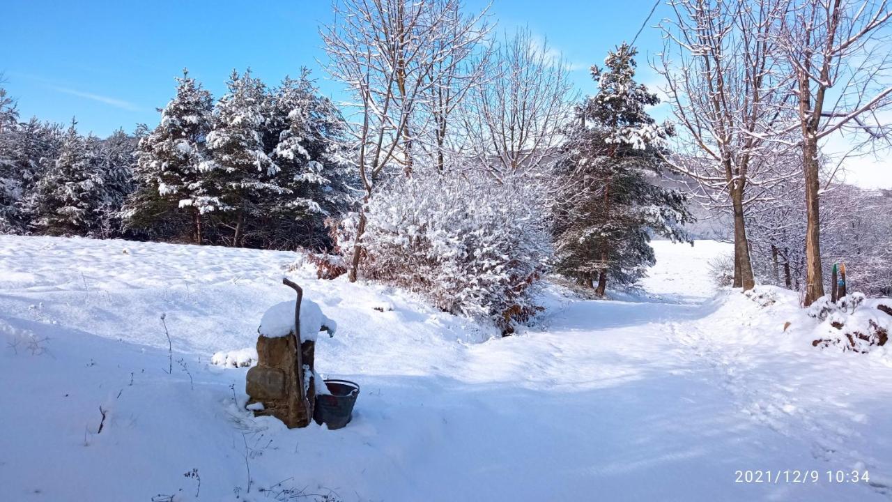Cascina Boschetto Bed & Breakfast Saliceto Bagian luar foto