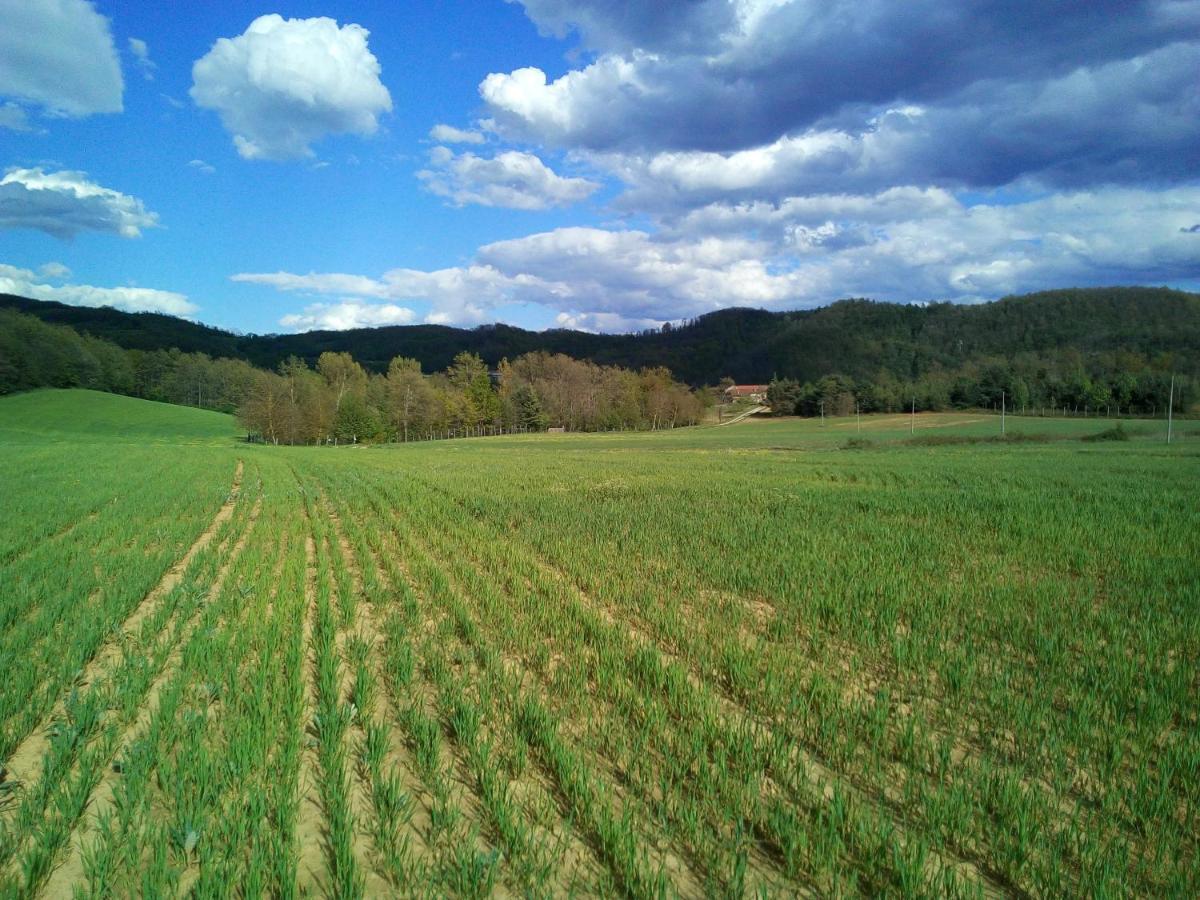 Cascina Boschetto Bed & Breakfast Saliceto Bagian luar foto