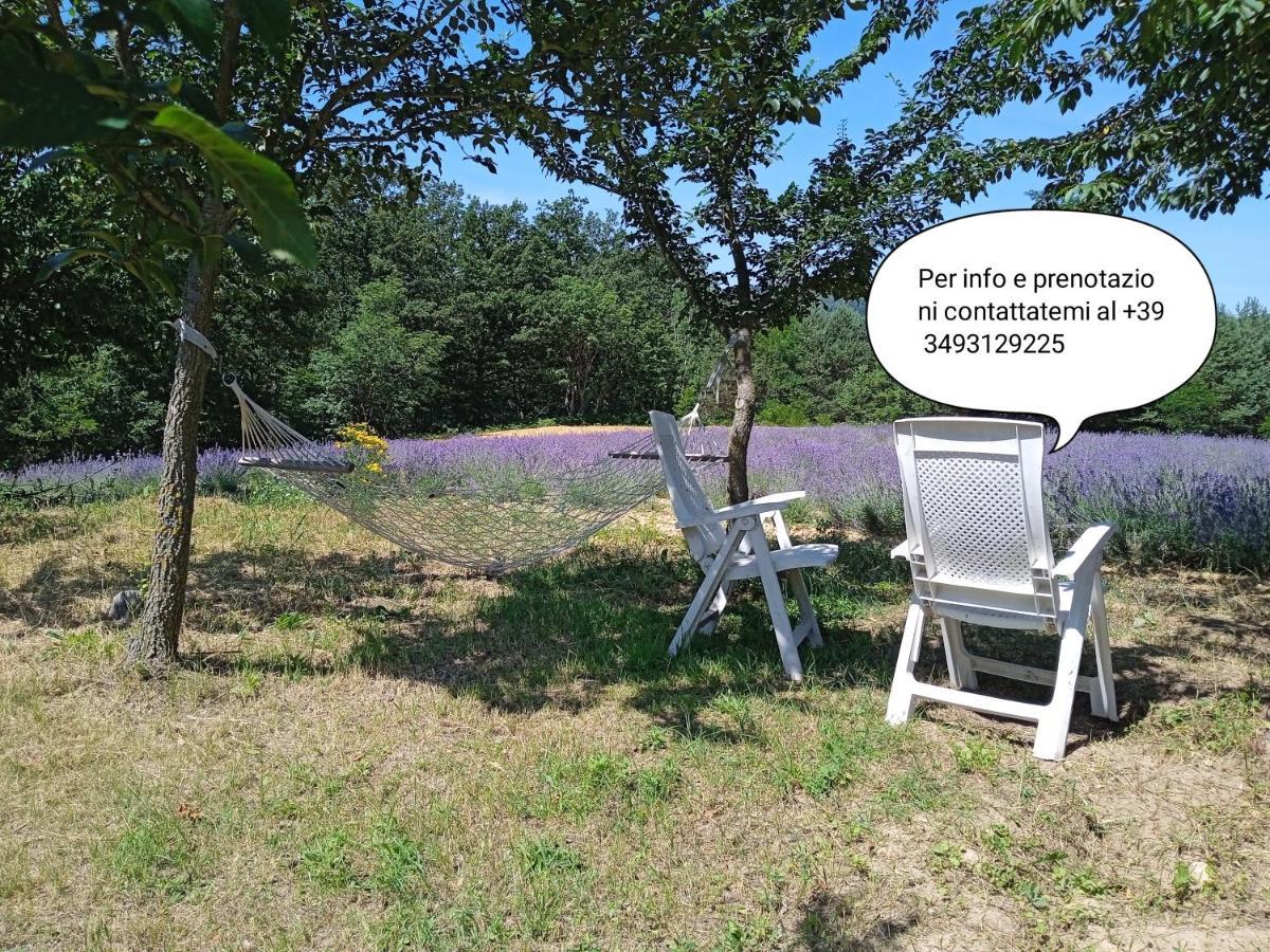 Cascina Boschetto Bed & Breakfast Saliceto Bagian luar foto