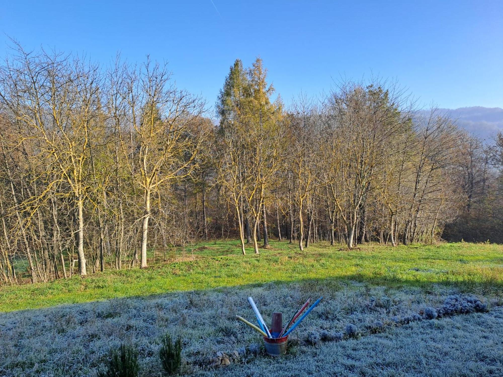 Cascina Boschetto Bed & Breakfast Saliceto Bagian luar foto